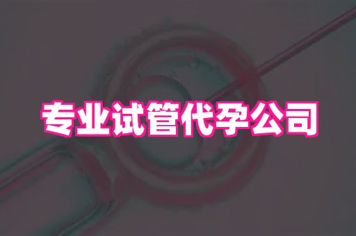 武汉助孕网 4
